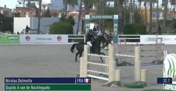 Qupido A VD Nachtegaele - Oliva - Novembre 2025